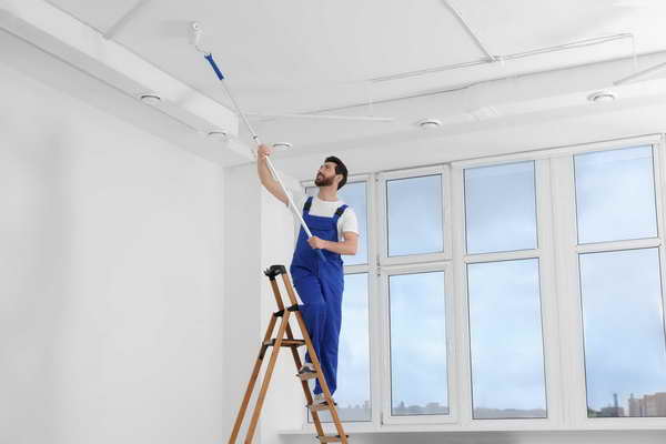 Interior Painting Services in Estero