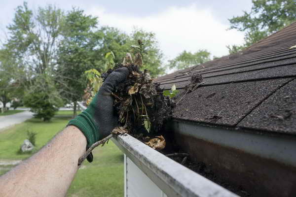 Gutter Cleaning Services in Naples